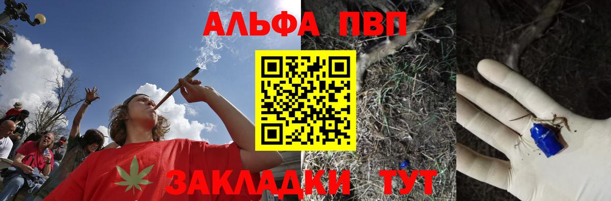 Alfa_PVP СК Лениногорск