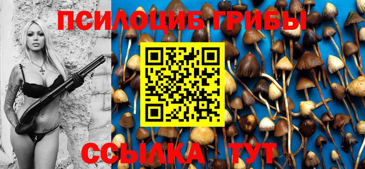 Псилоцибиновые грибы MAGIC MUSHROOMS Лениногорск