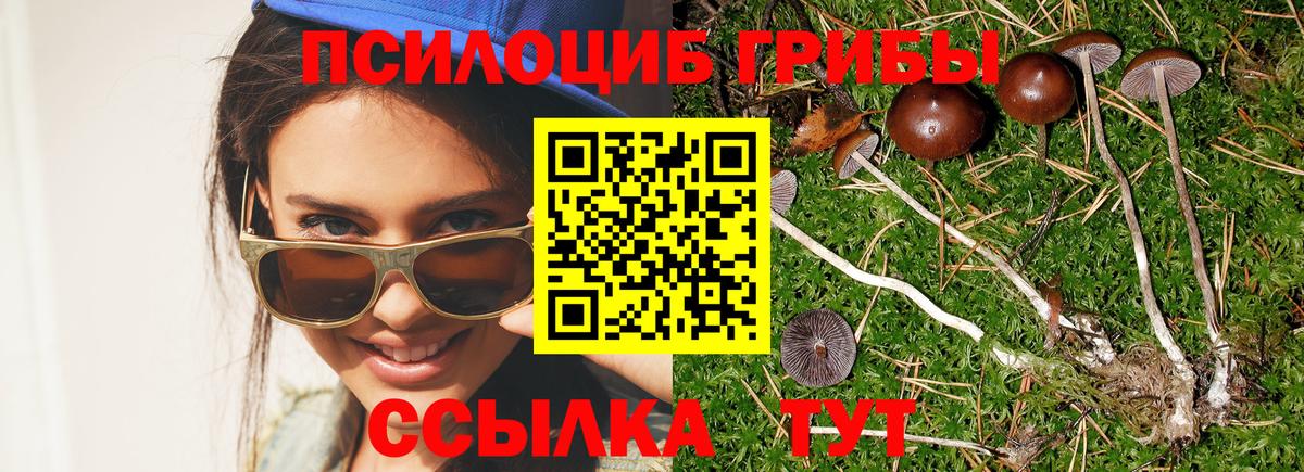 Лениногорск  цены наркотик  Вход с VPN  Галлюциногенные грибы GOLDEN TEACHER 