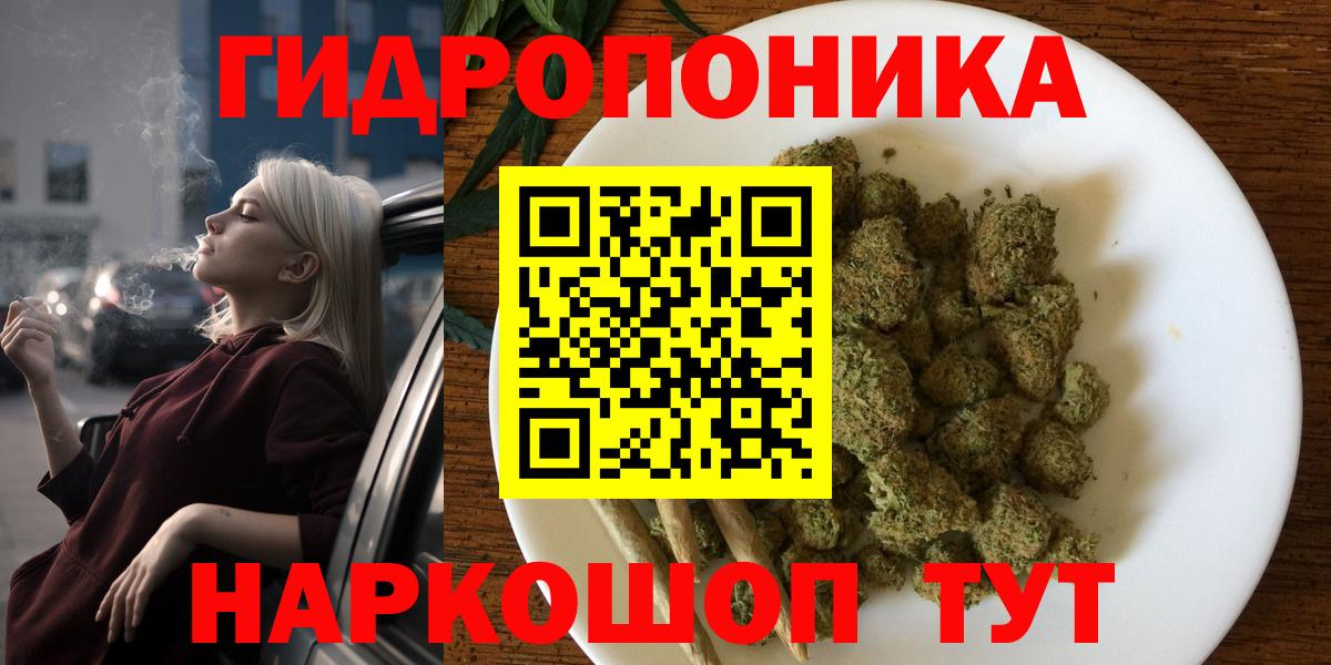 Бошки марихуана ГИДРОПОН  Конопля конопля  Лениногорск  Вход с VPN  Бошки Шишки MAZAR 